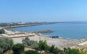 Vila Andreea